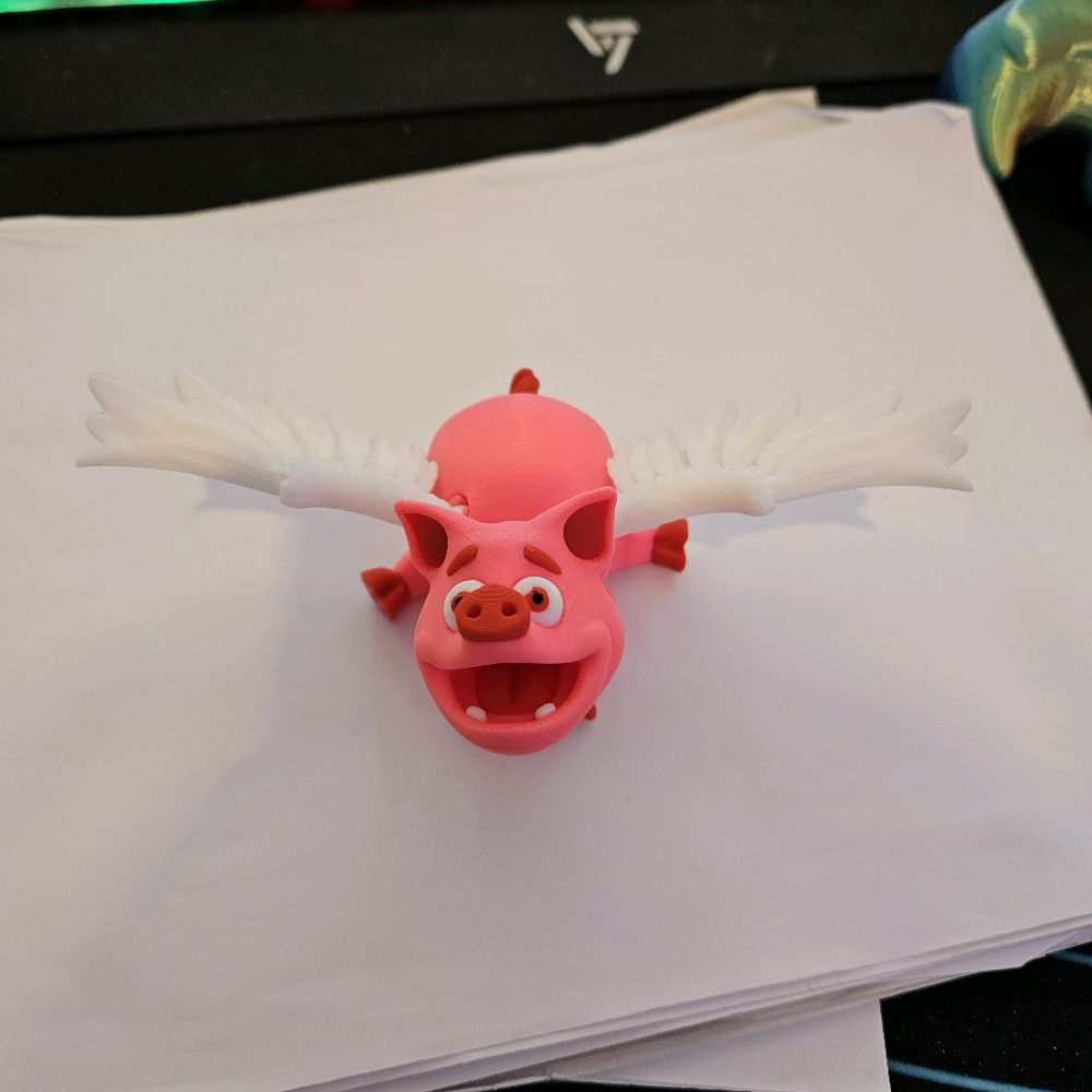 Frank Furter 3D Printed Flexi Fidget Pig - Fun & Satisfying Sensory Toy - Image 2
